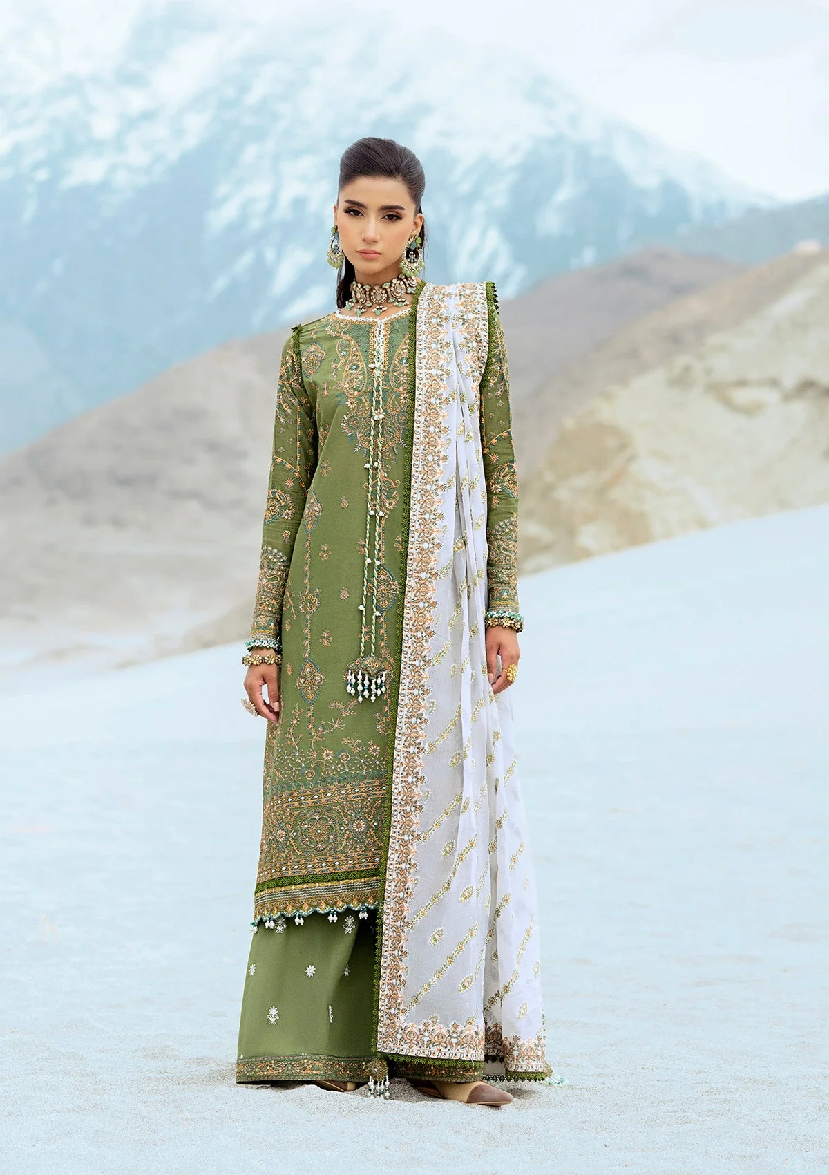AIK Atelier Raqs Look 06 Lawn Vol 1 2025