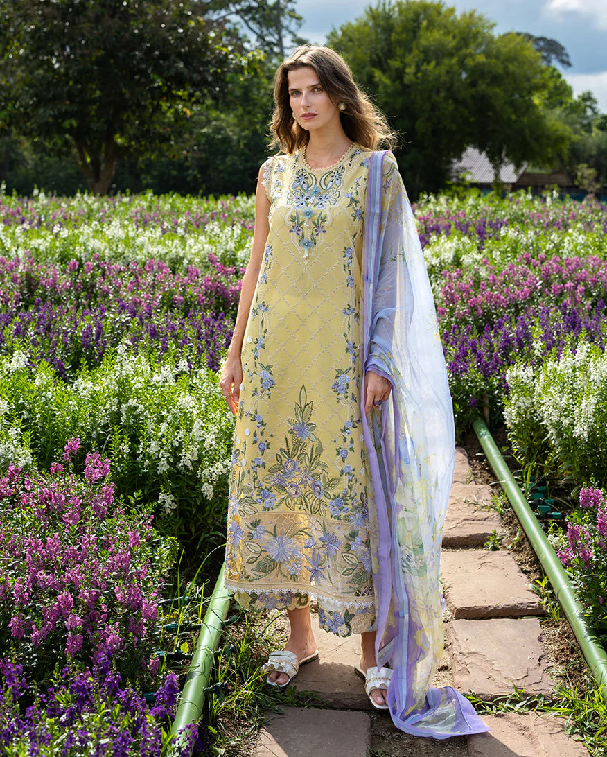 Mushq Nightshade Bloom The Secret Garden 2026 - Image 2